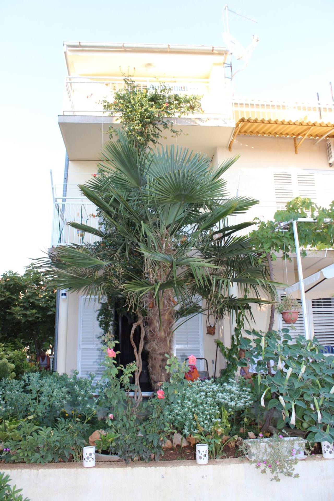 Apartments Miriam Srima โวดีเซ ภายนอก รูปภาพ