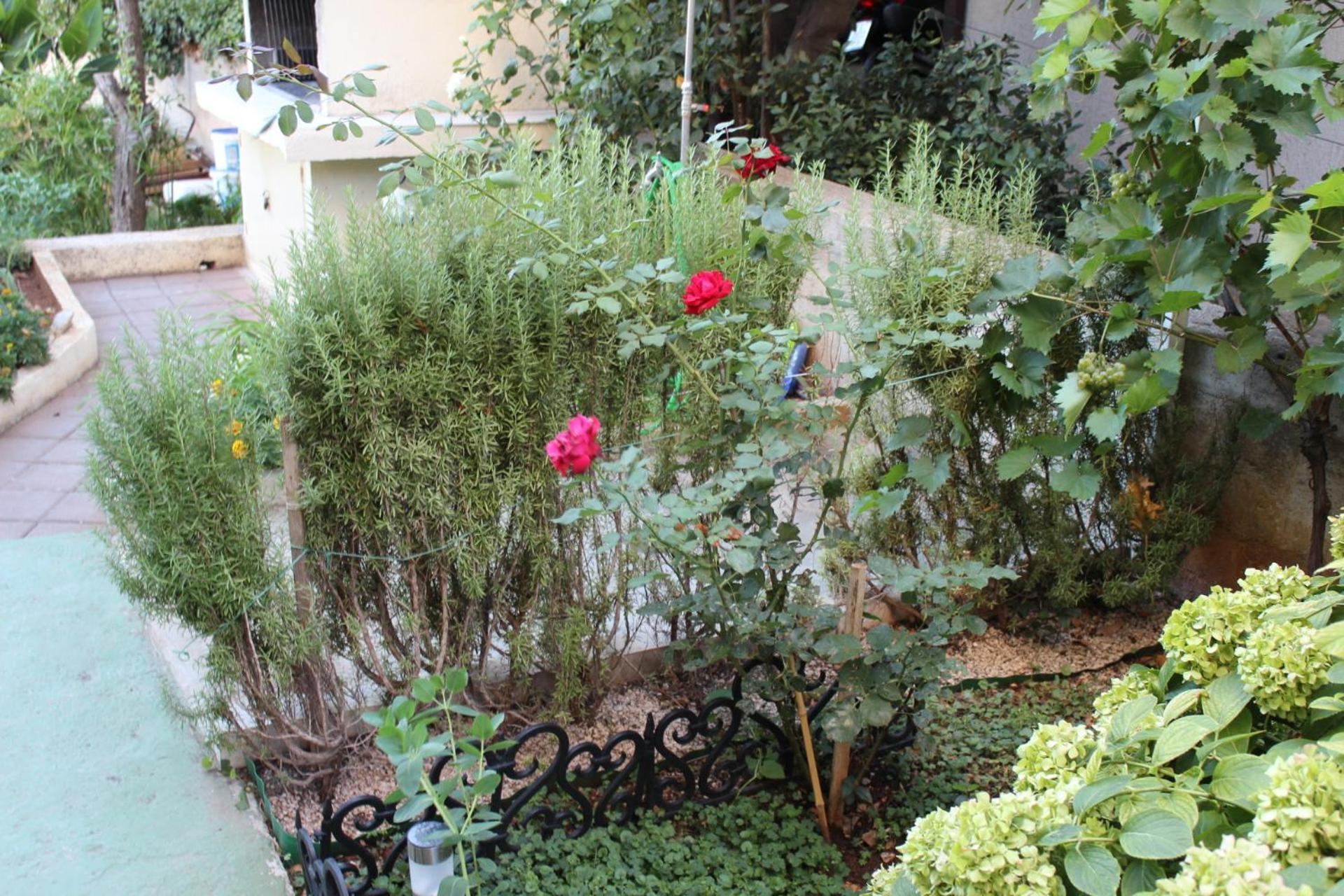 Apartments Miriam Srima โวดีเซ ภายนอก รูปภาพ
